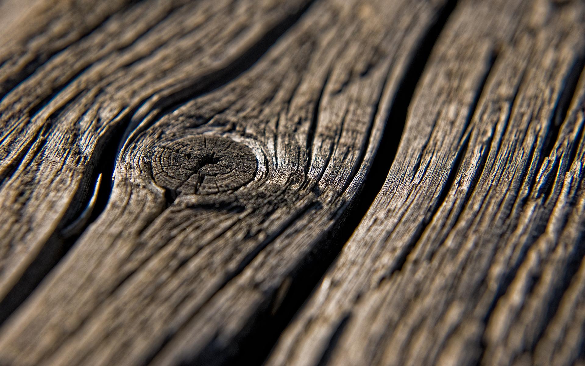 1920x1200 Wood Close Up Wallpaperx1200