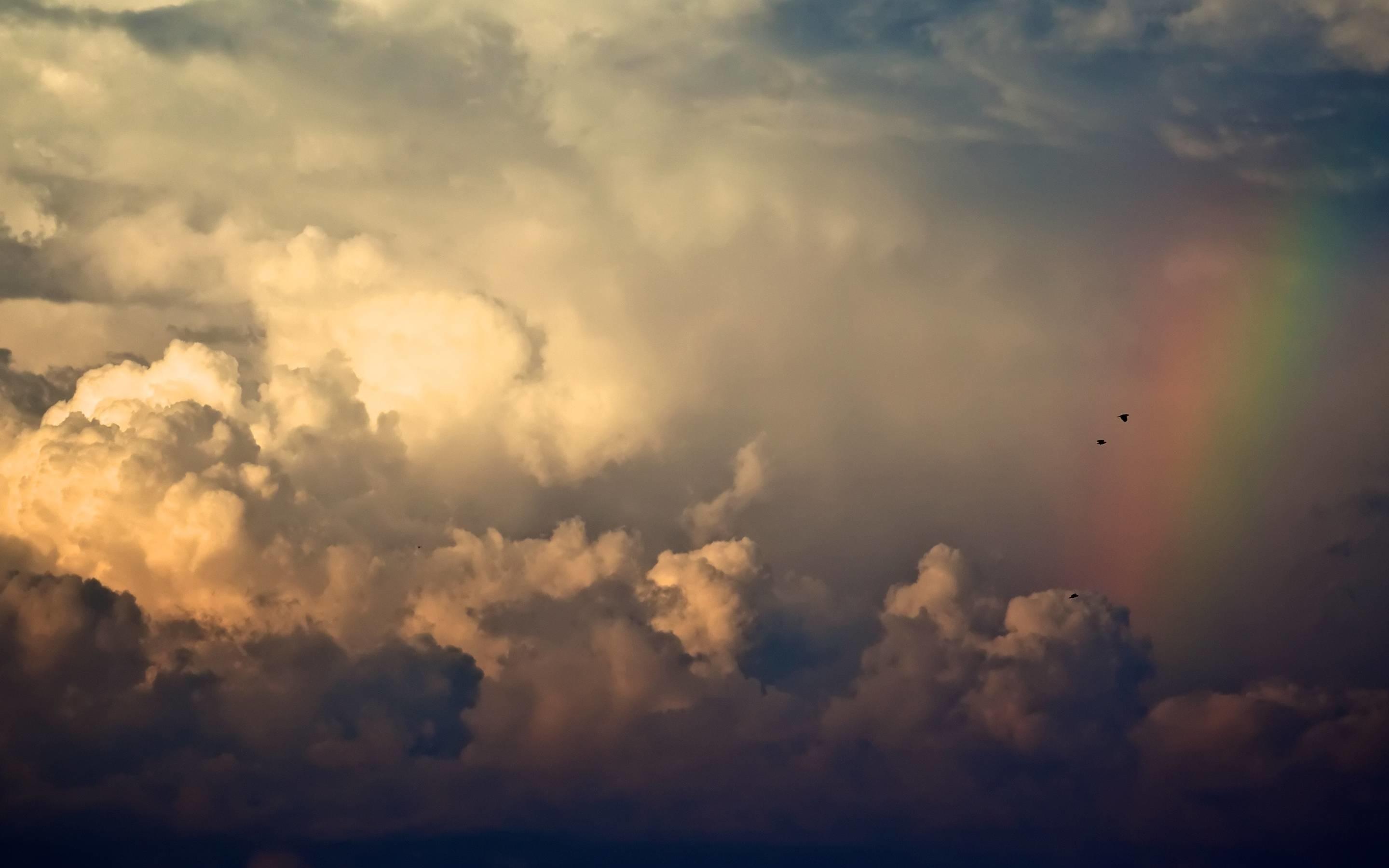 2880x1800 Wallpaper For Macbook Pro Data Src W Full 9 A 8 212020 On An Eagle