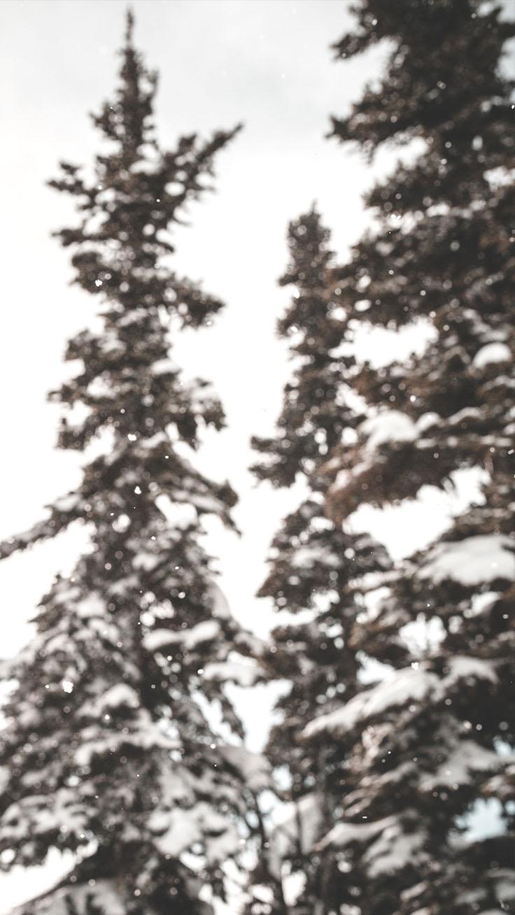 736x1308 Merry Preppy Christmas iPhone Wallpaper