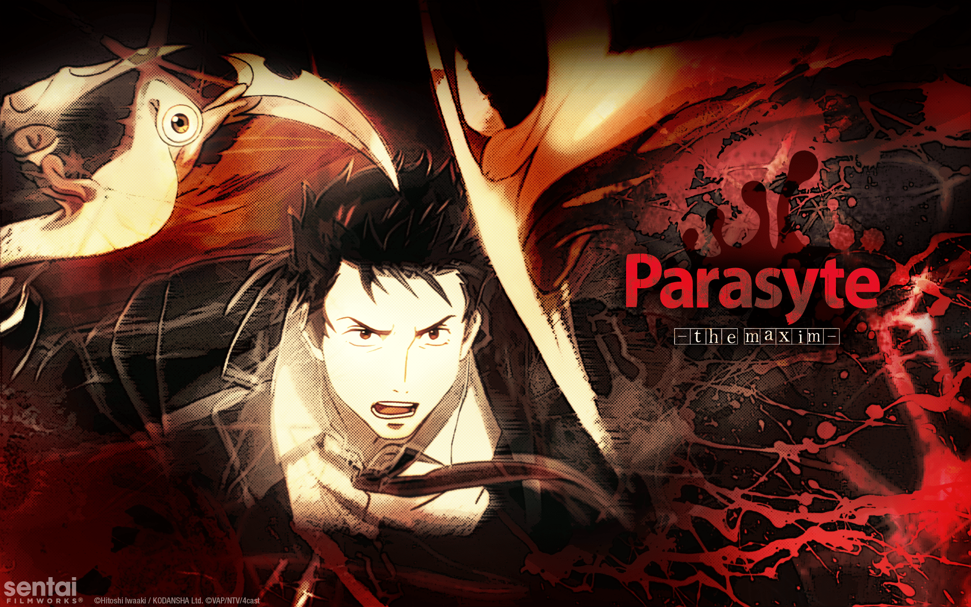 Parasyte Minimalist Wallpapers - Top Free Parasyte Minimalist