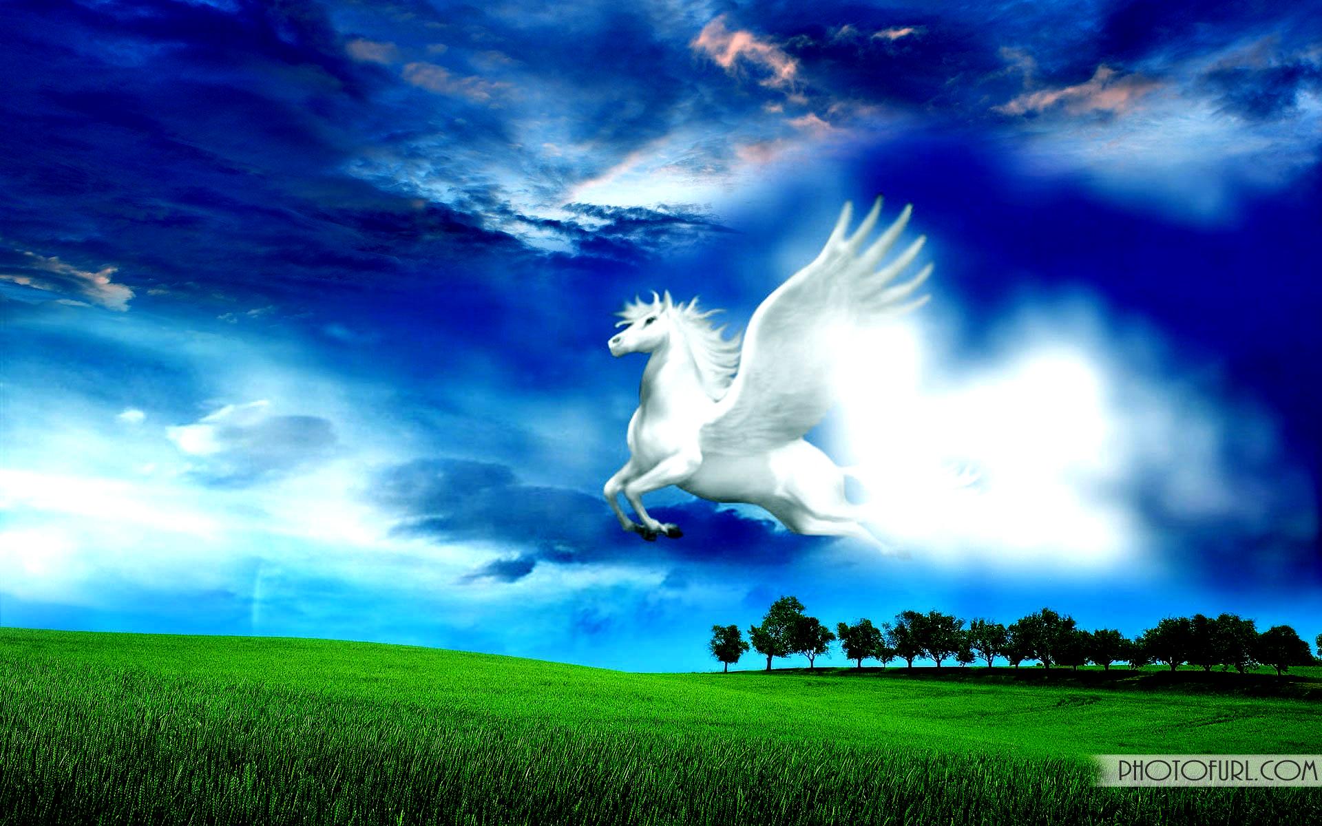 1920x1200 High Resolution Wide Screen Laptop Natural Scenes And Animal Image Wallpaper. Free WallpaperFree Wallpaper