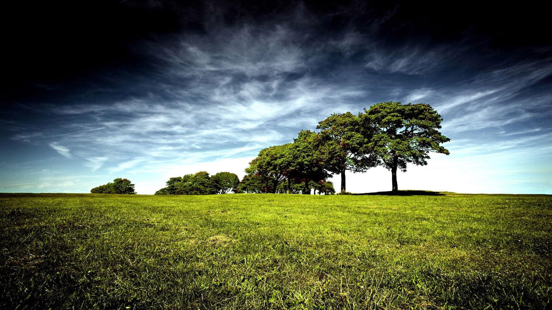 1920x1080 Nature HD 720p