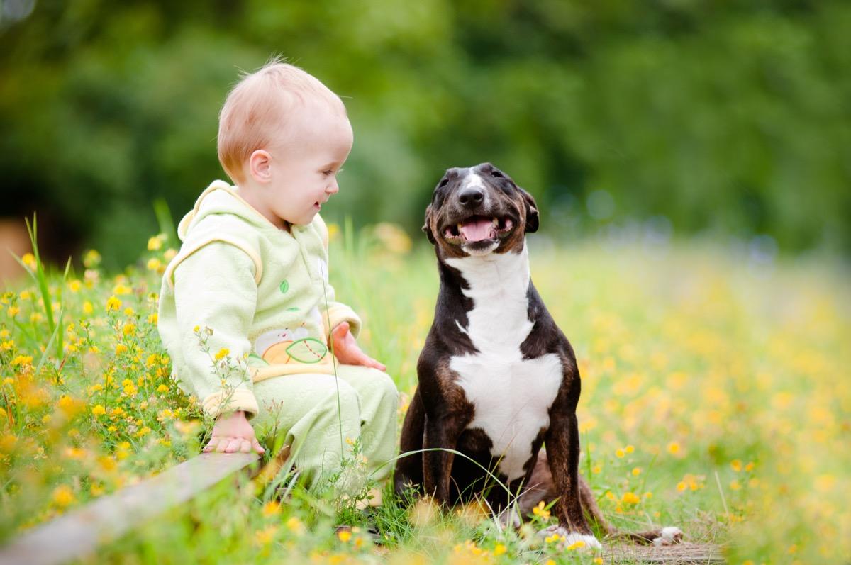 1200x797 Precious Photo of Dogs and Babies That Will Melt Your Heart