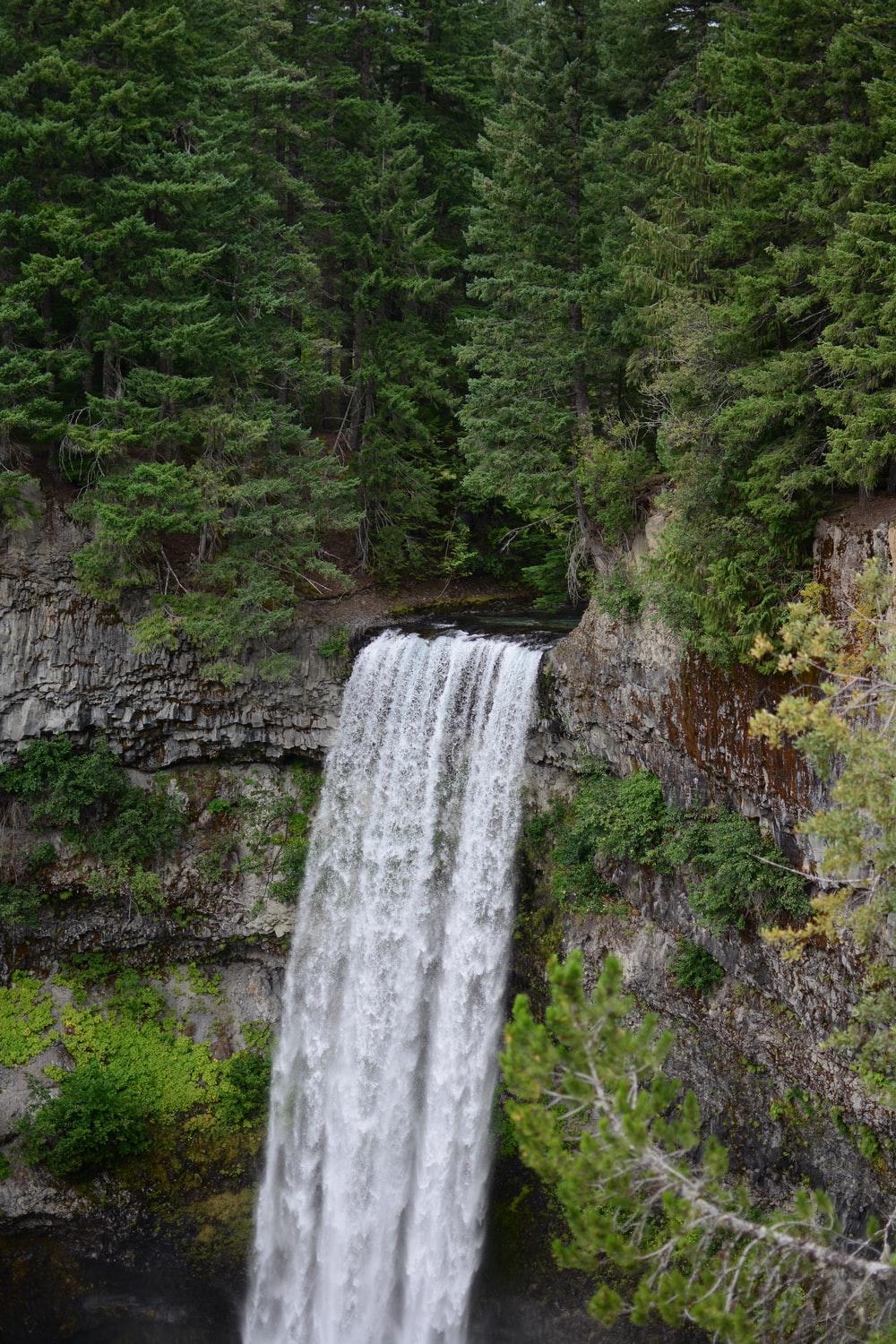1000x1500 River Flowing Picture. Download Free Image