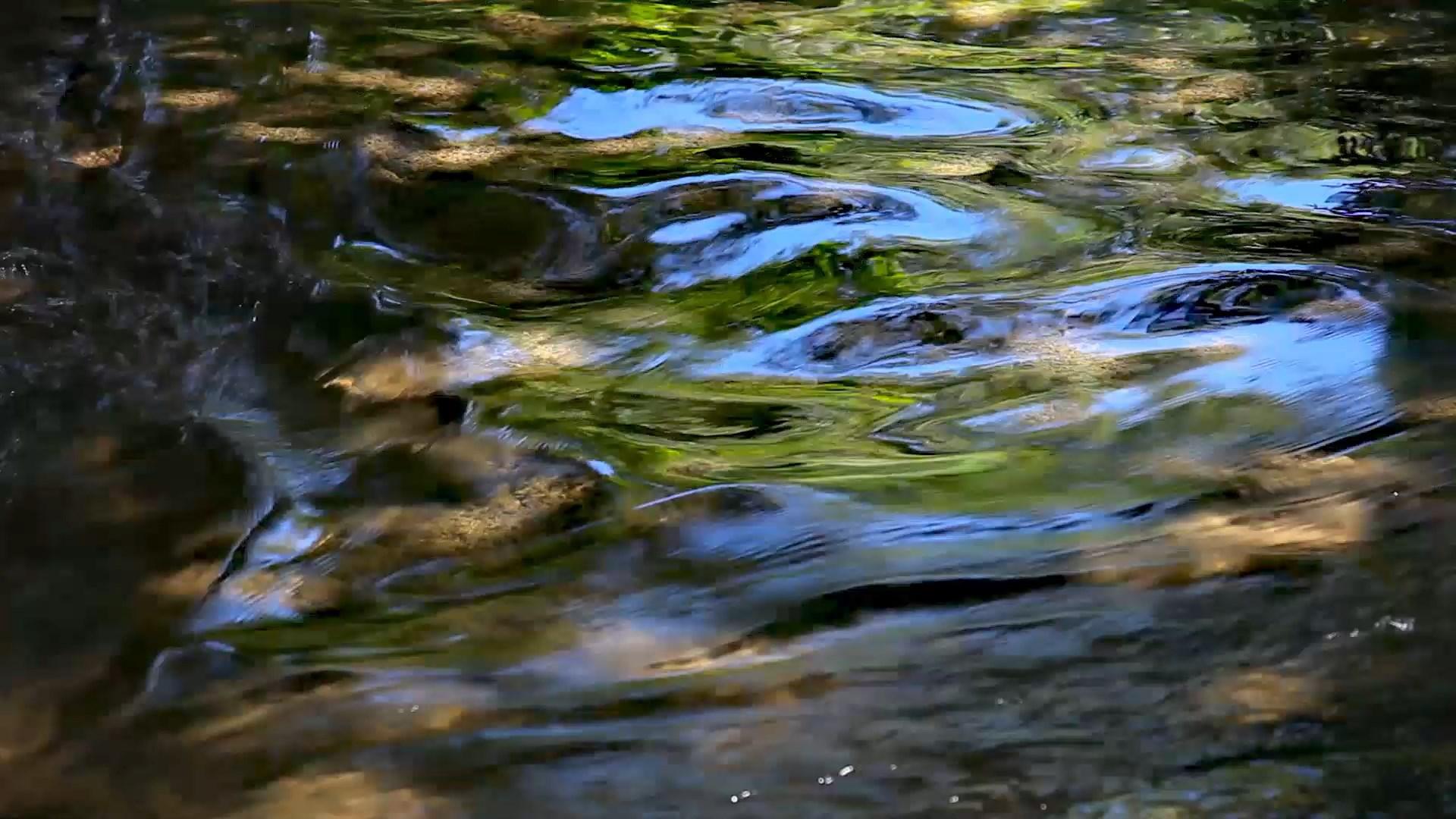 1920x1080 Flowing water Live Wallpaper