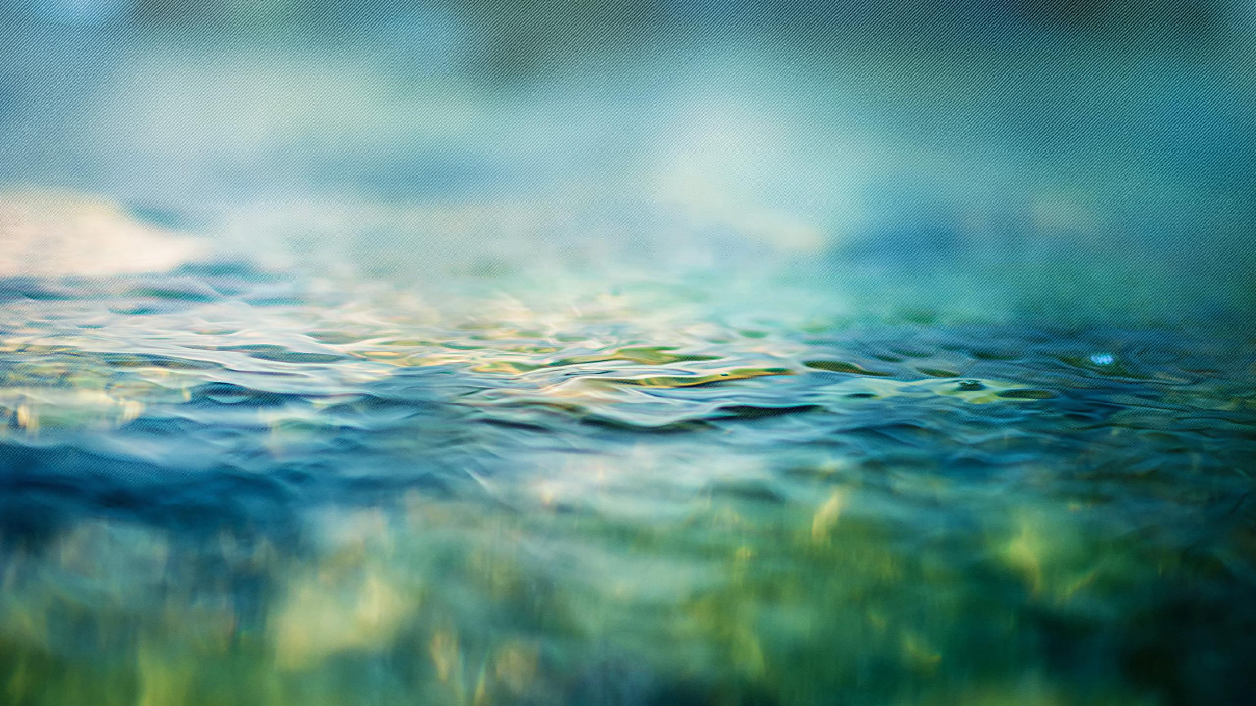 2560x1440 Green Water Flowing Macro Free Wallpaper HD