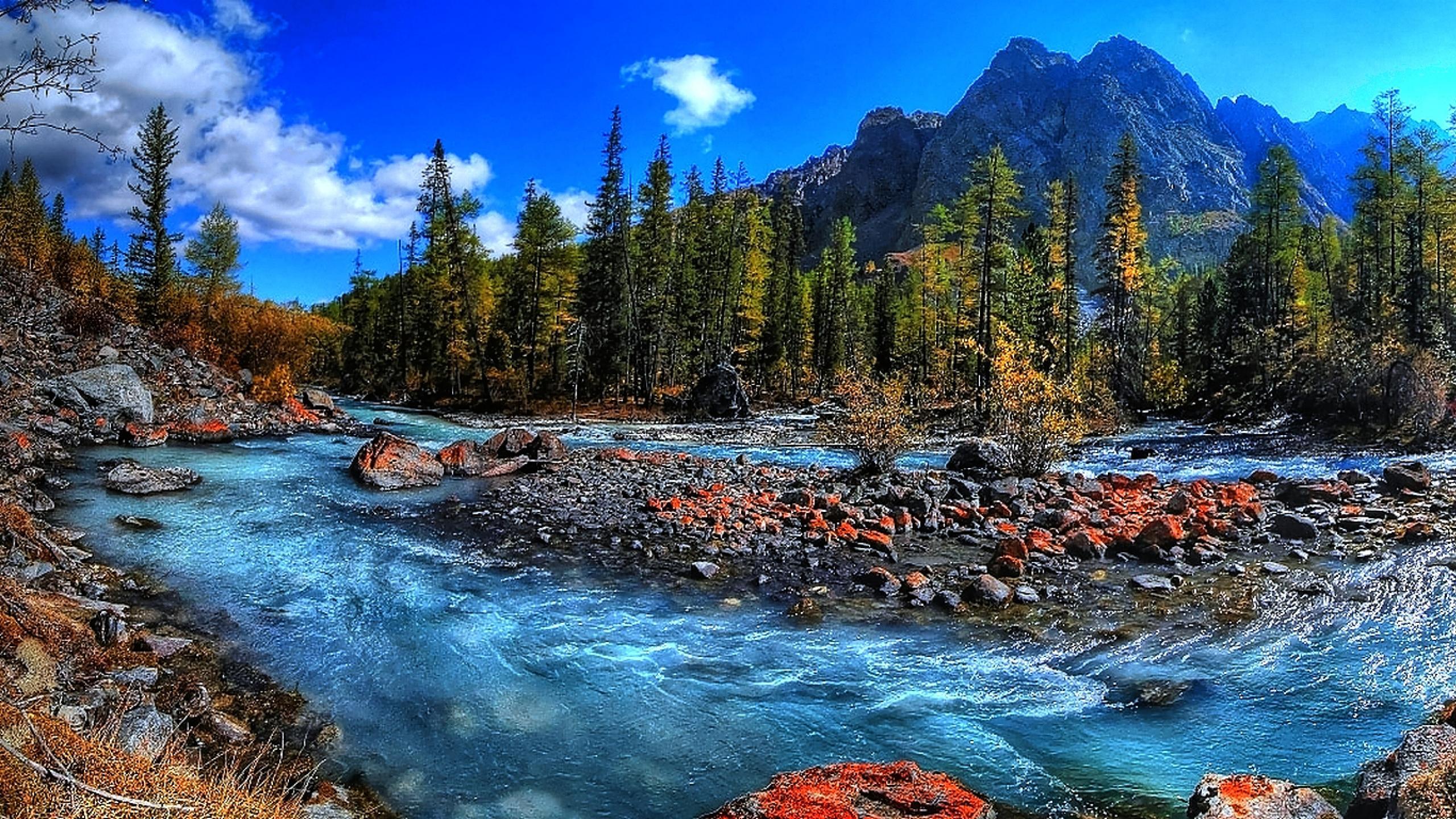 2560x1440 Flowing Water Wallpaper HD HD Wallpaper