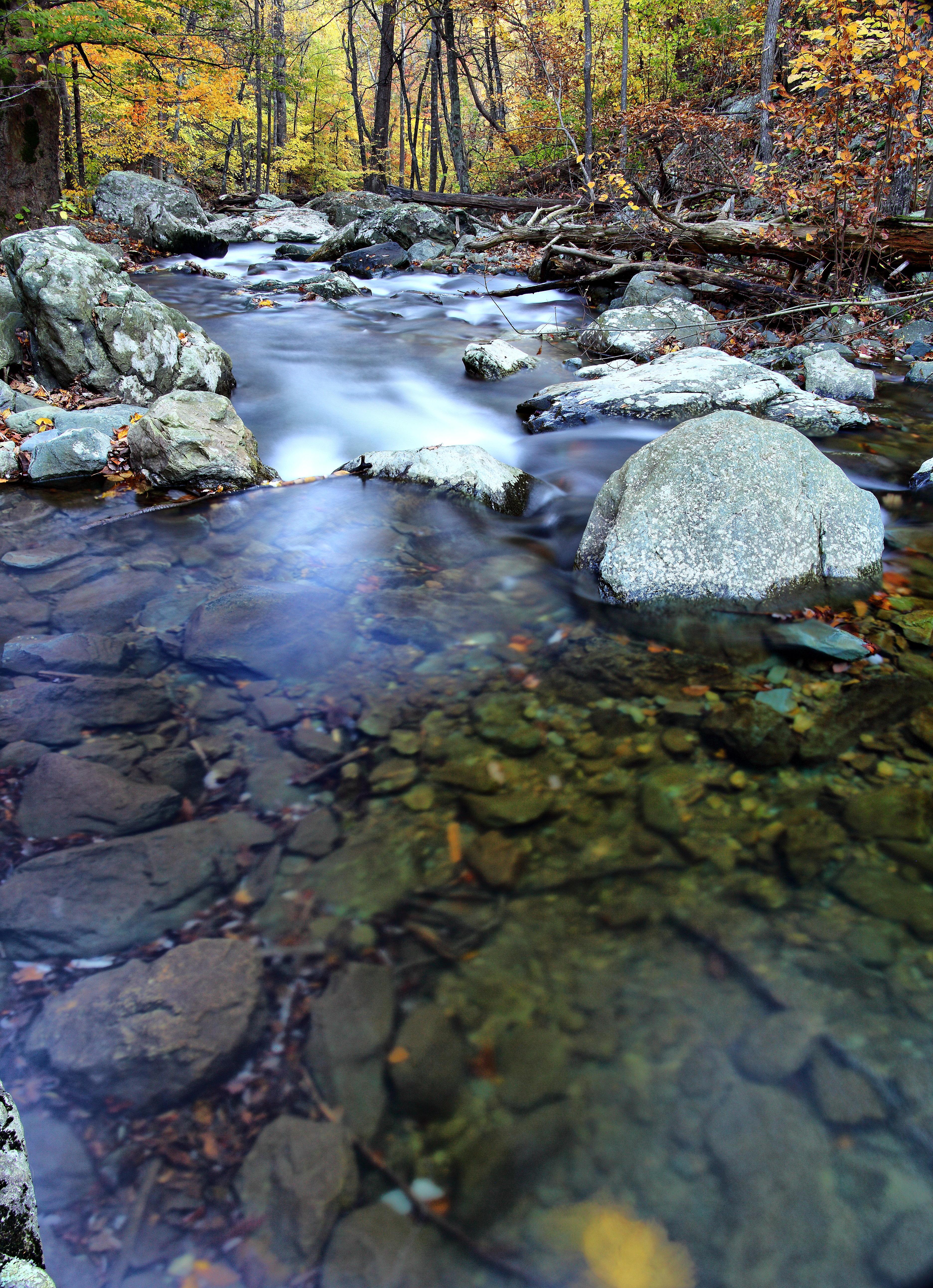 3744x5169 Flowing Water Wallpaper Free Download In A Stream HD Wallpaper