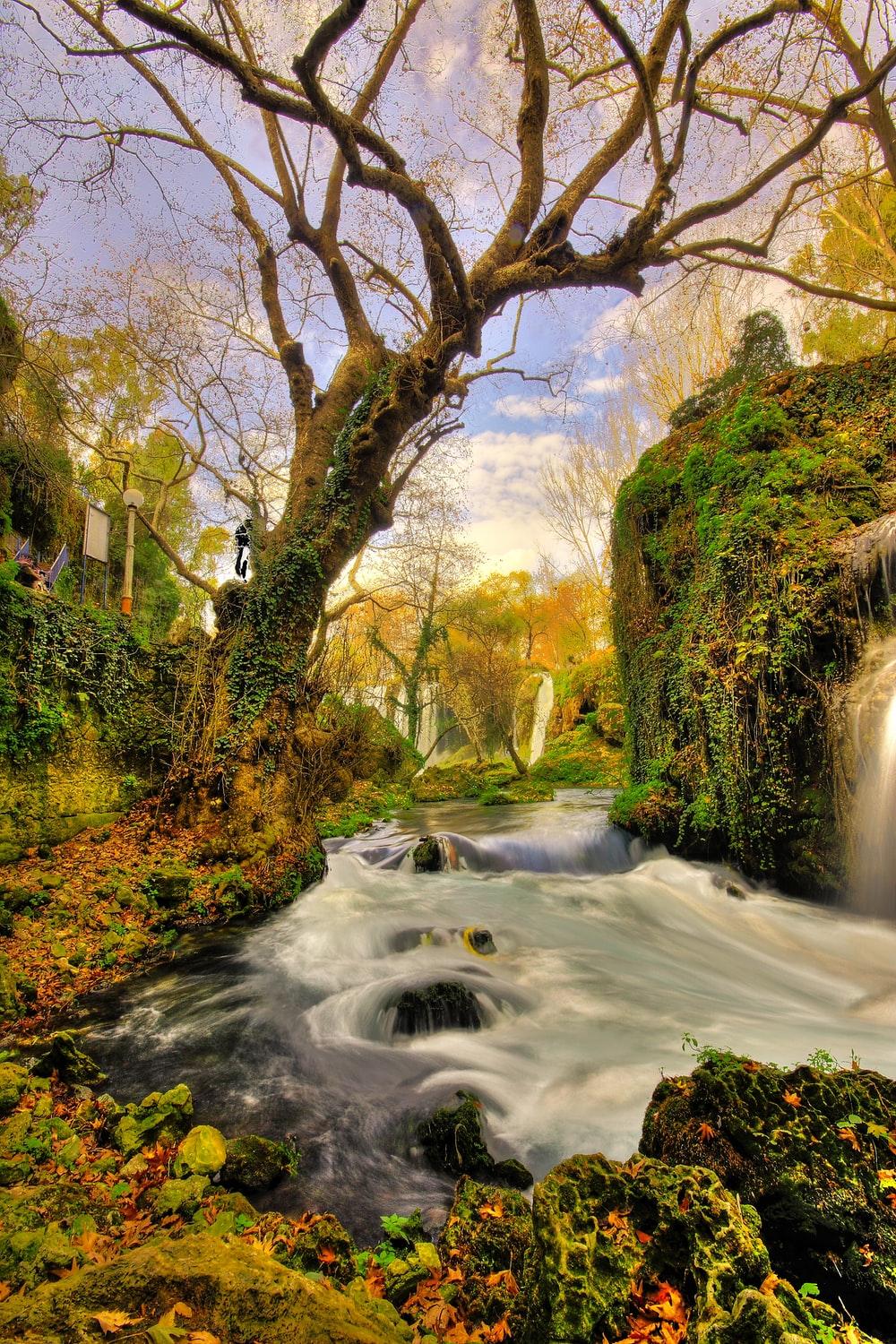 1000x1500 Flowing Water Picture [HD]. Download Free Image