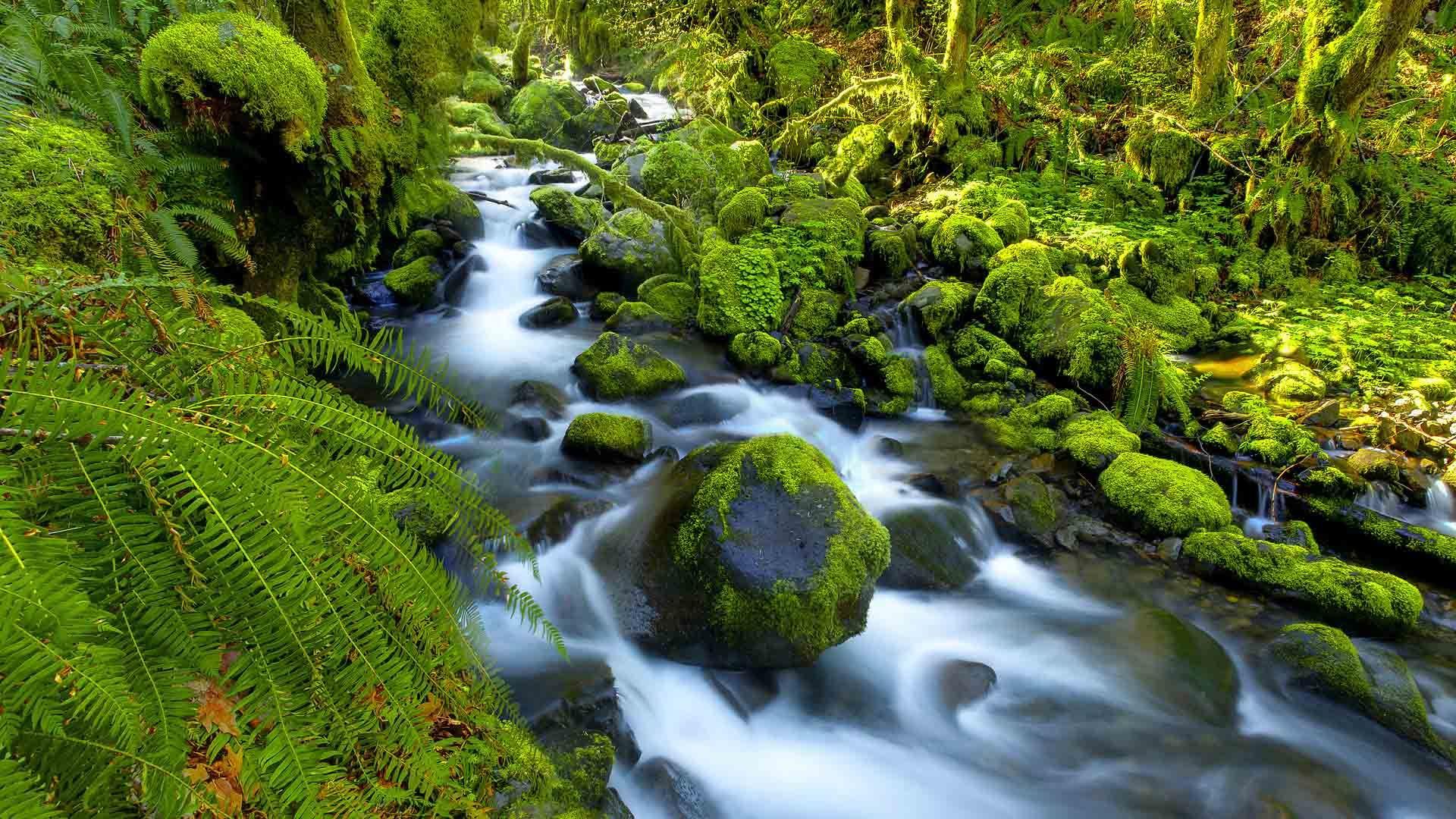 1920x1080 Flowing Water Wallpaper. Waterfall, Outdoor, Waterfall wallpaper