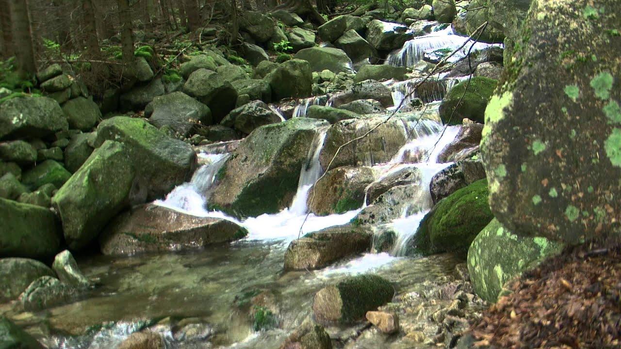 1280x720 HD video of flowing water. Live wallpaper. Waterfall motion loop 1080