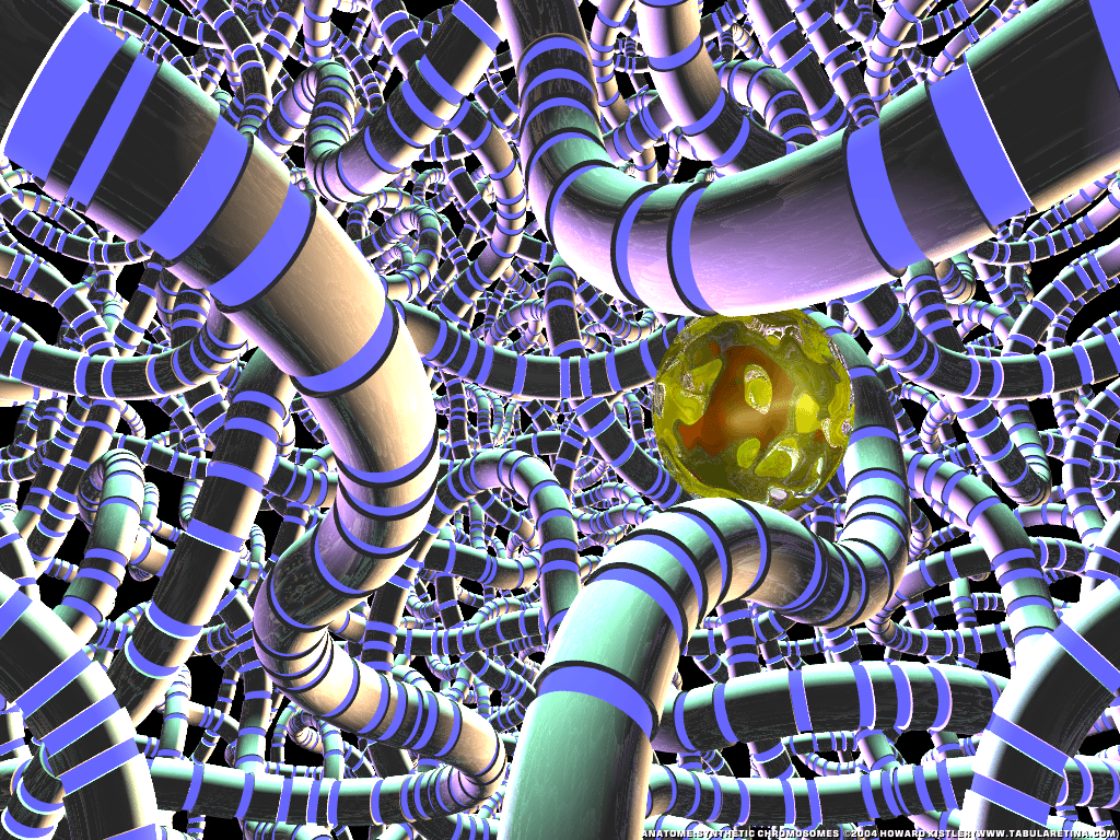 1024x768 Chromosome Wallpaper