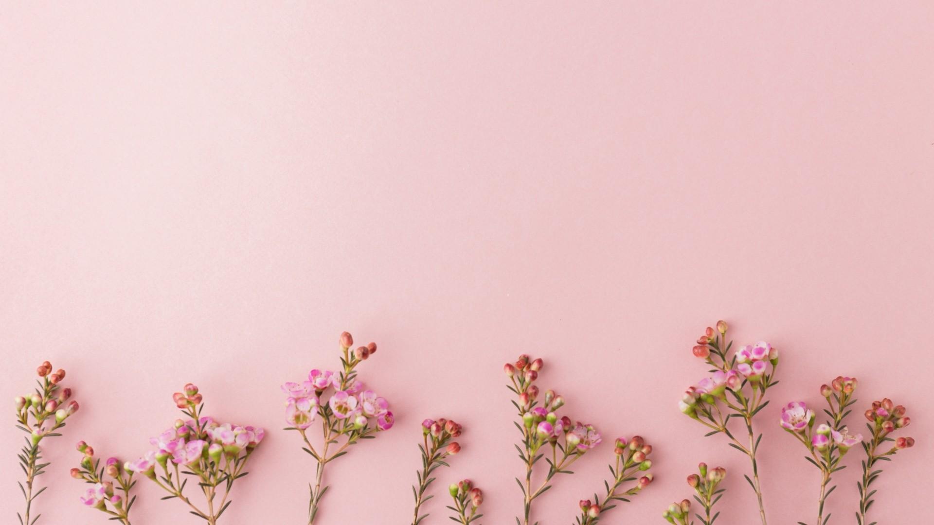 1920x1080 Rose Gold Cute Wallpaper