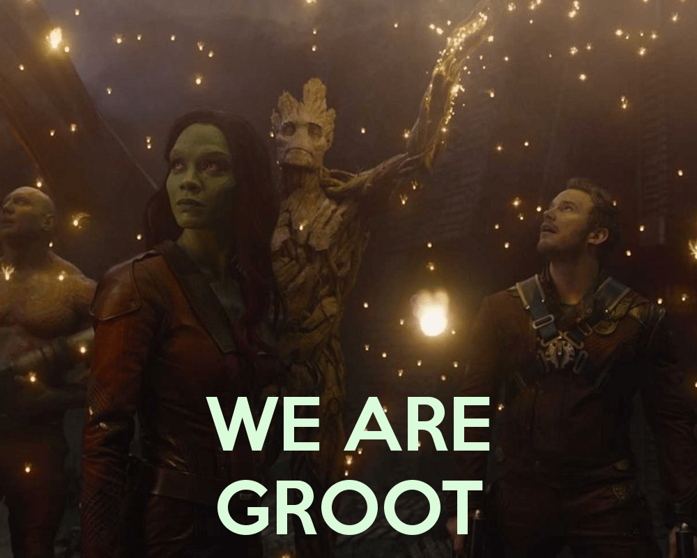 1000x800 We are Groot Wallpaper