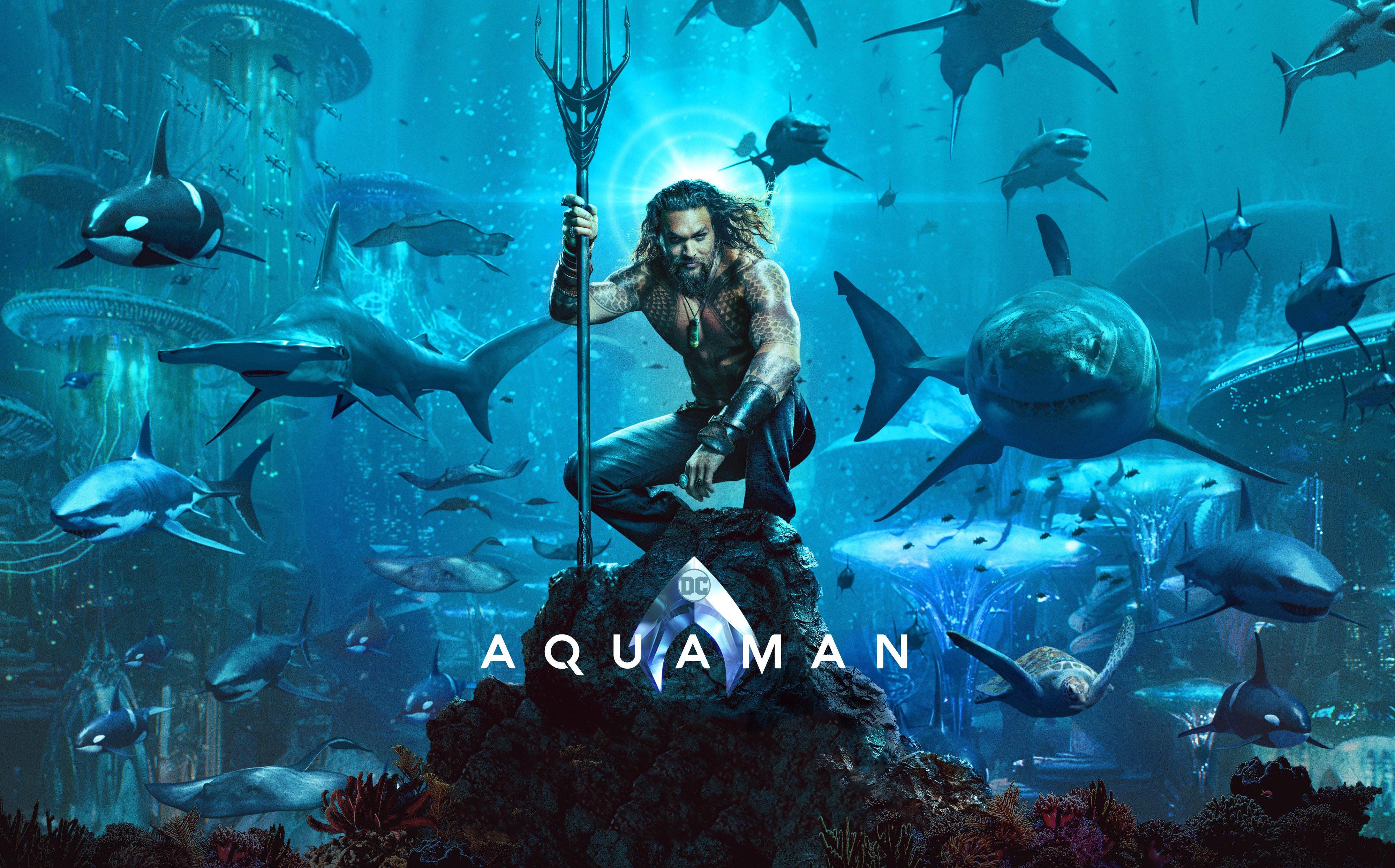 4000x2490 Swordfish HD wallpaper, Background