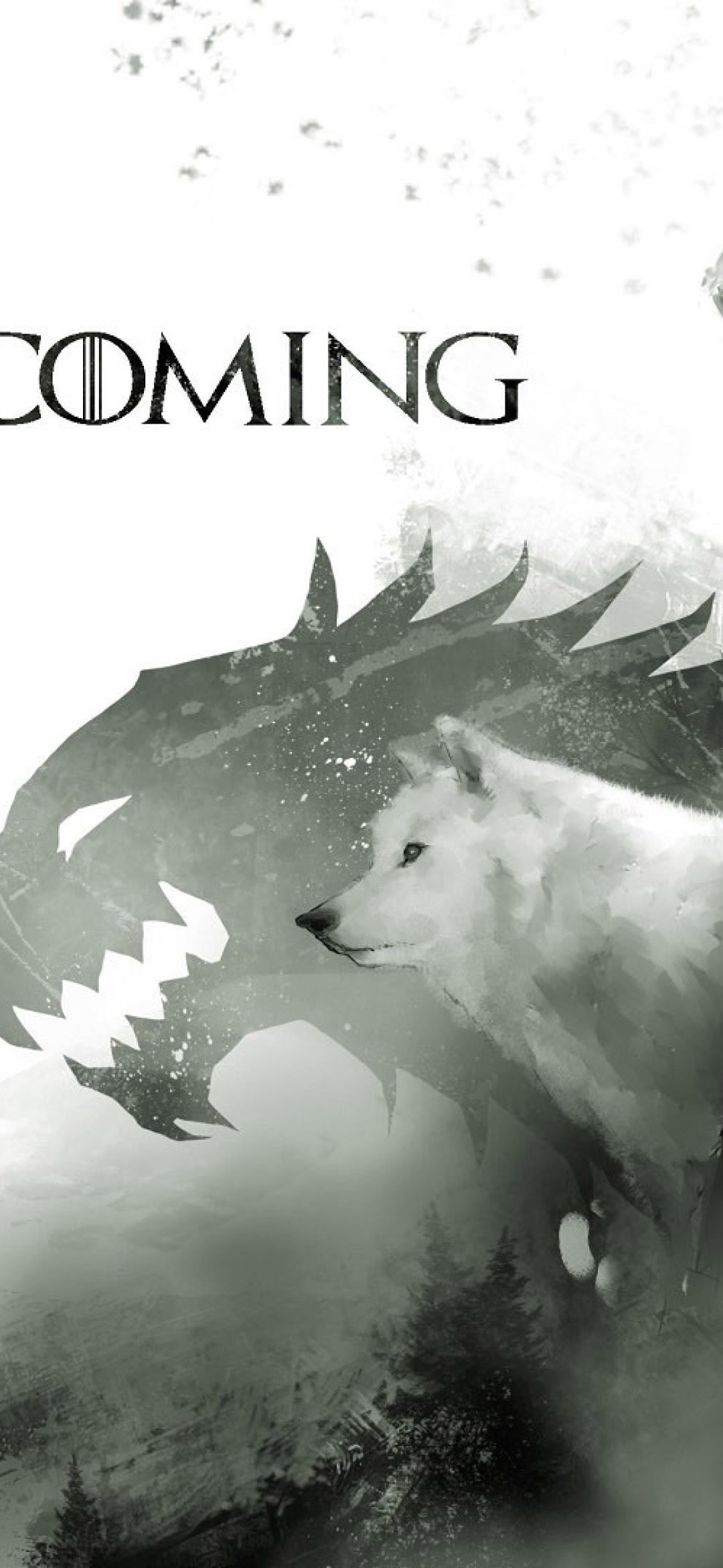 1080x2340 Game of Thrones Winter is Coming Wallpaper 01 1080x2340 Resolution Wallpaper, HD Movies 4K Wallpaper, Image, Photo and Background