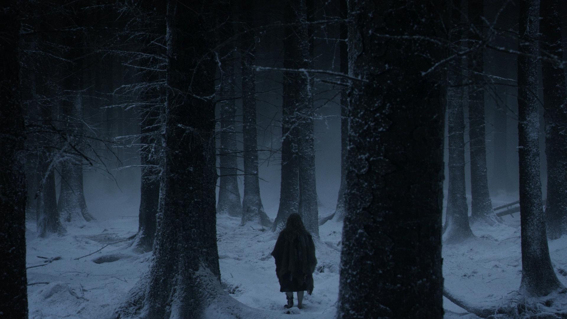1920x1080 winter trees night forest game of thrones tv series nights watch 1920x1080 wallpaper