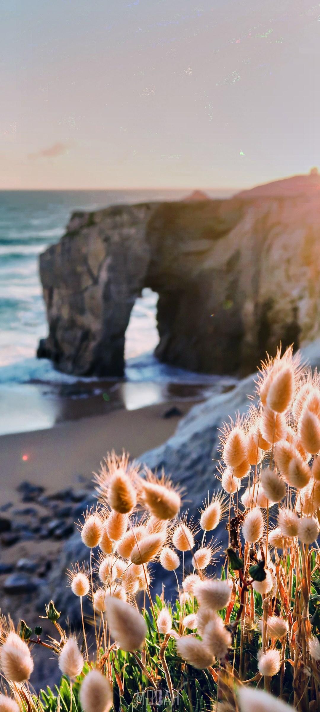 1080x2400 Nature, Natural Landscape, Coast, Sea, Shore, Samsung Galaxy A70 wallpaper full hd, 1080x2400. Mocah HD Wallpaper