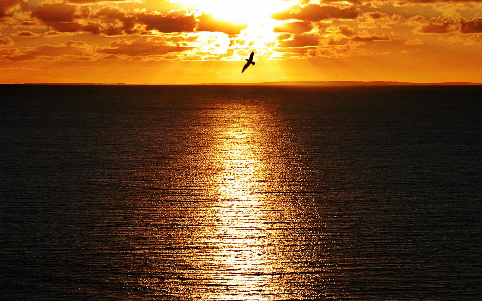 1600x1000 HD Nature Wallpaper: Awesome Sunset Photo HD Desktop Wallpaper