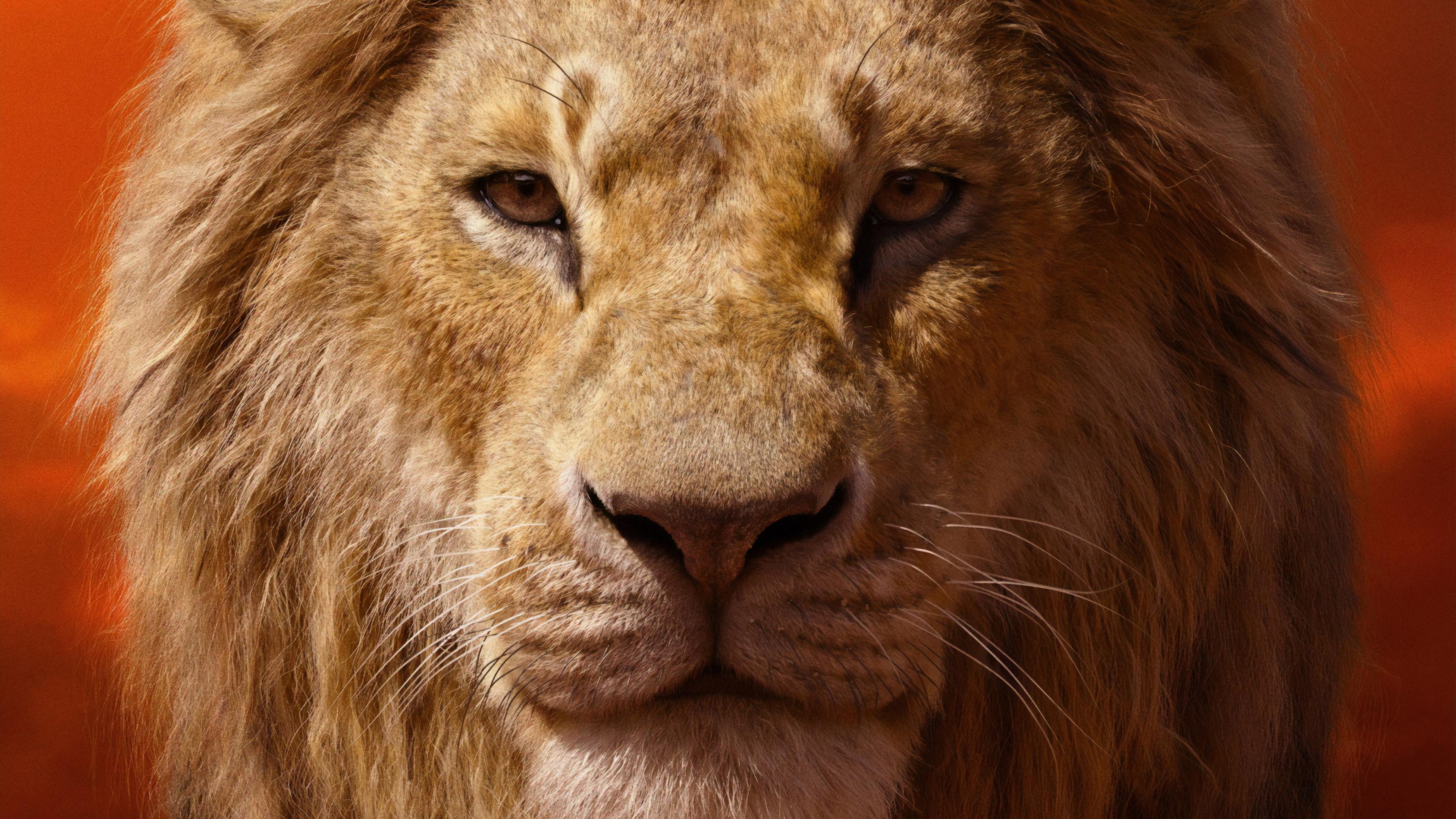 3376x1899 the lion king HD wallpaper, background