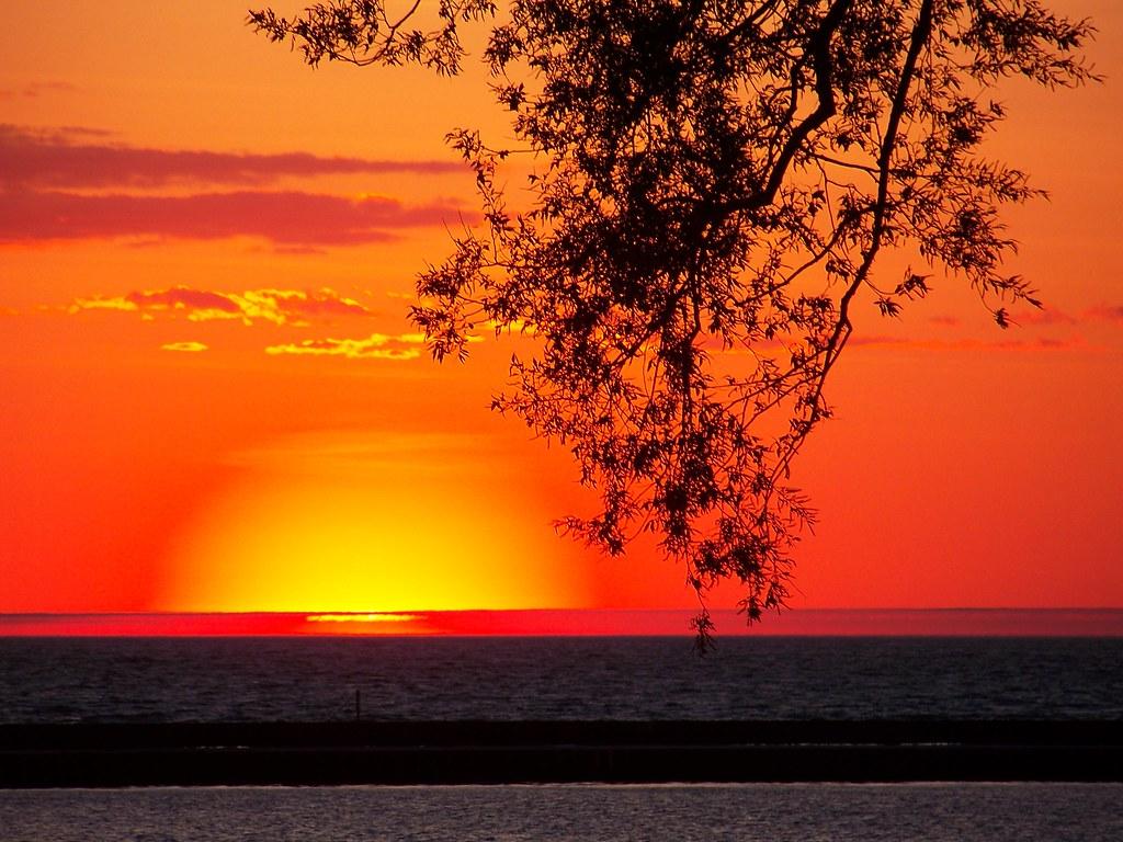 1024x768 The Lion King Sun. All you need is less water, more desert