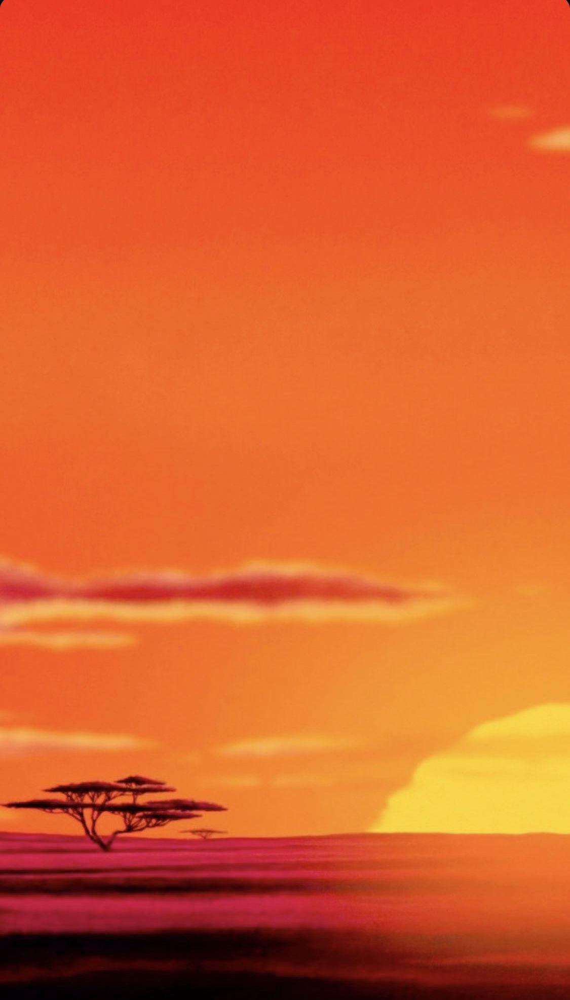 1125x1972 The Lion King Sunrise