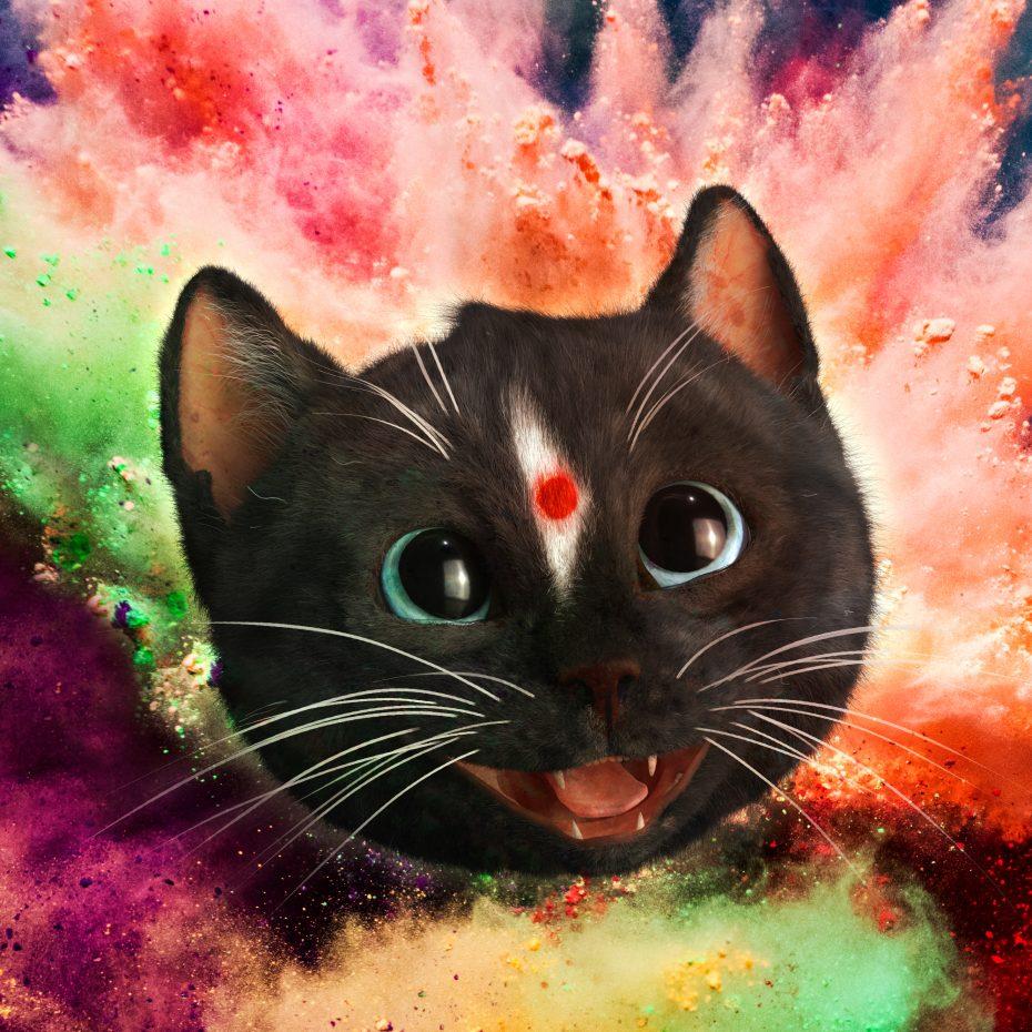 930x930 Felini the Kitty - .playful and witty