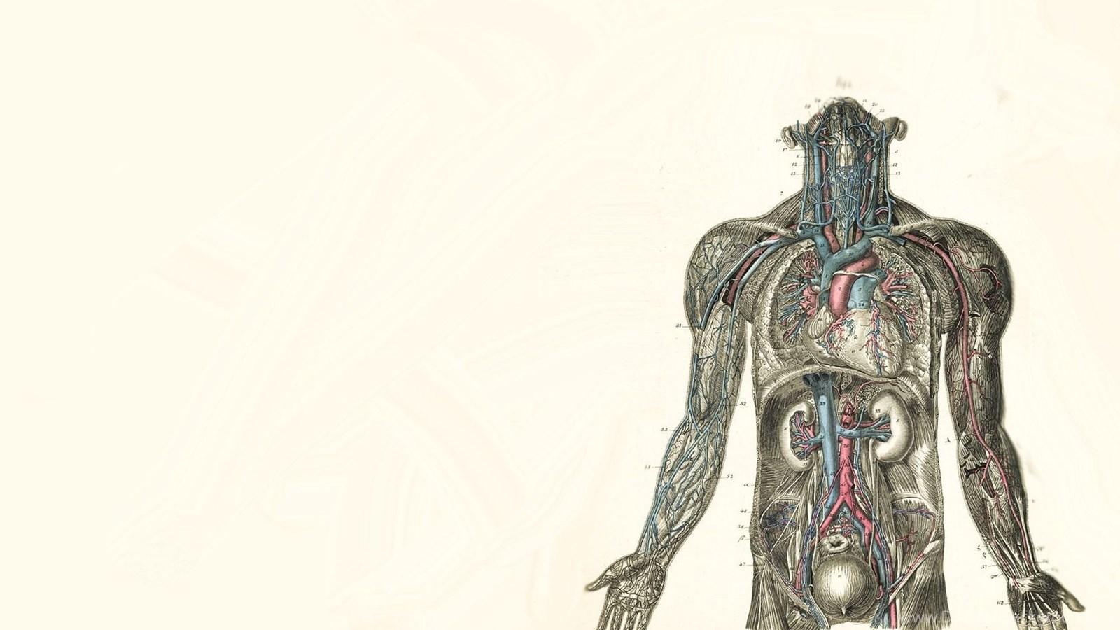1600x900 Medical Wallpaper Desktop Background