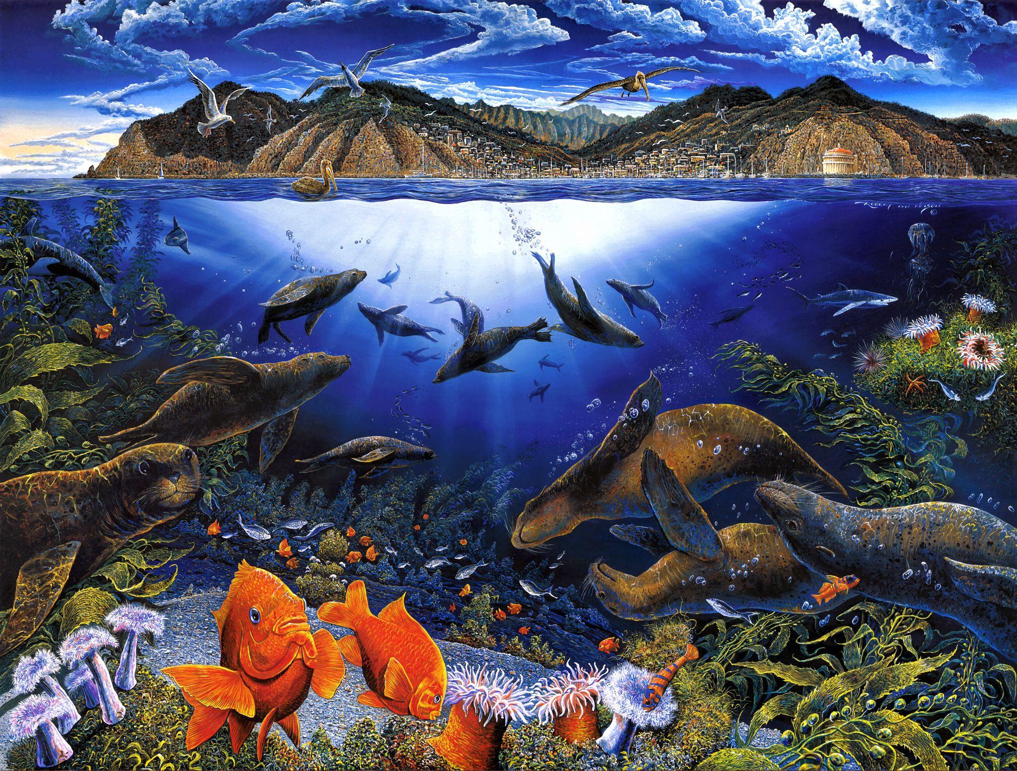 2027x1537 Free download Animal Sea Life Wallpaper [2027x1537] for your Desktop, Mobile & Tablet. Explore Sea Life Wallpaper. Ocean Life Wallpaper, Ocean Life Desktop Wallpaper, HD Ocean Sea Life Wallpaper