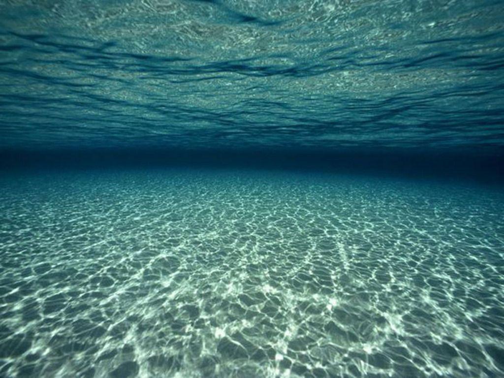 Cute Underwater Wallpapers - Top Free Cute Underwater Backgrounds ...