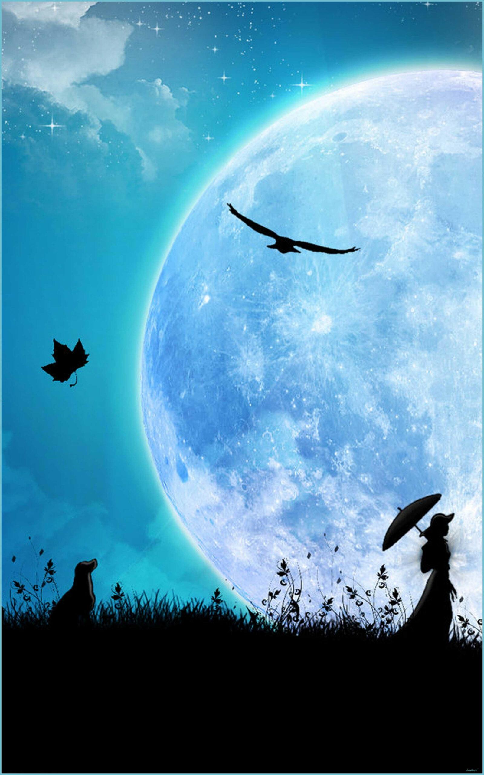 1600x2560 Moonlight Wallpaper HD Moonlight Wallpaper For Android Wallpaper HD