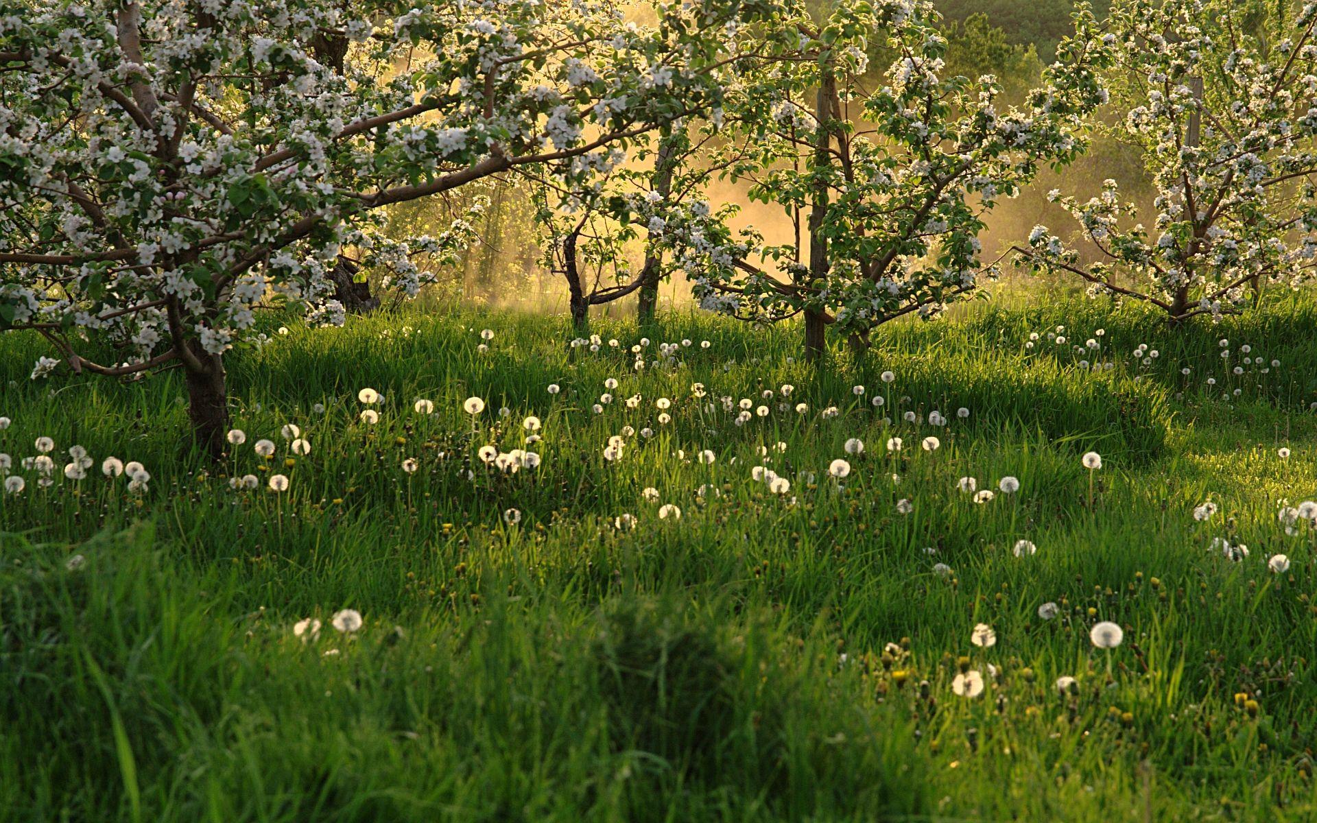 1920x1200 Wallpaper France Gallery (90 Plus)