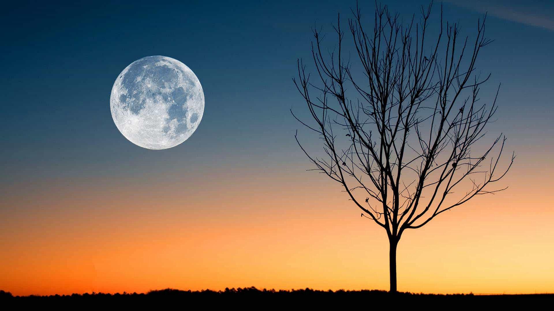 1920x1080 The March Worm Moon
