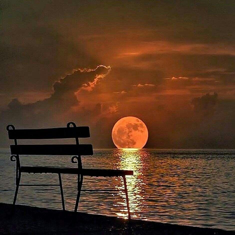 941x941 Cats. Beautiful moon, Beautiful sunset, Beautiful nature