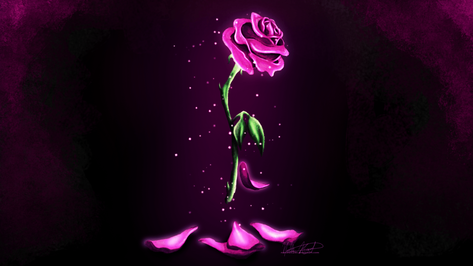 1600x900 Beauty And The Beast Desktop Wallpaper And The Beast Background Rose HD Wallpaper