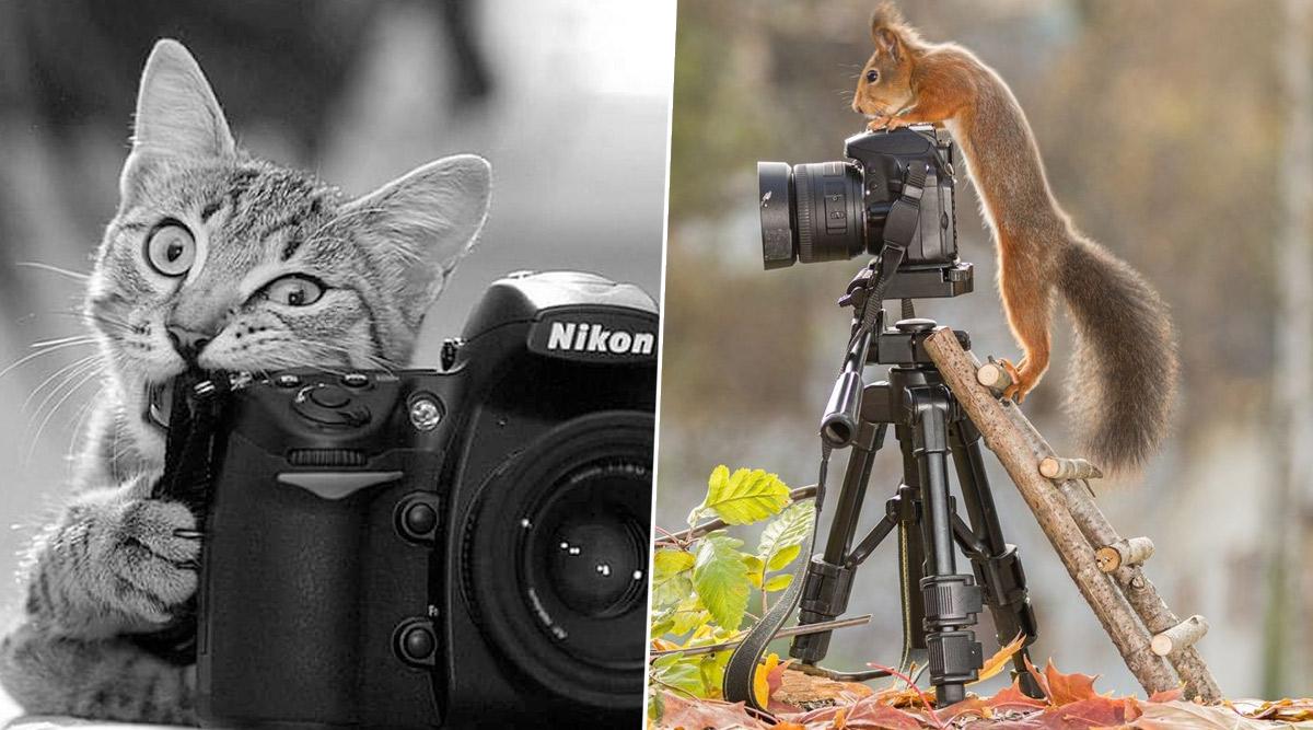 1200x667 World Photography Day 2020 HD Picture and Image: Twitter Celebrates the Day with Amazing Quotes, Wishes & Greetings