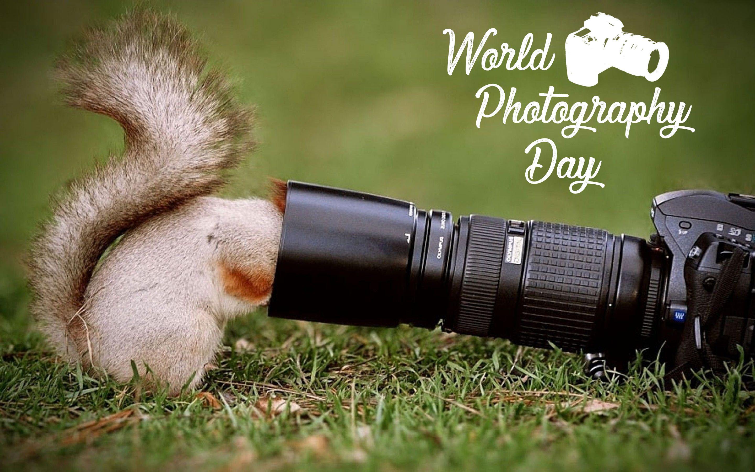 2880x1800 Camera Day Wallpaper