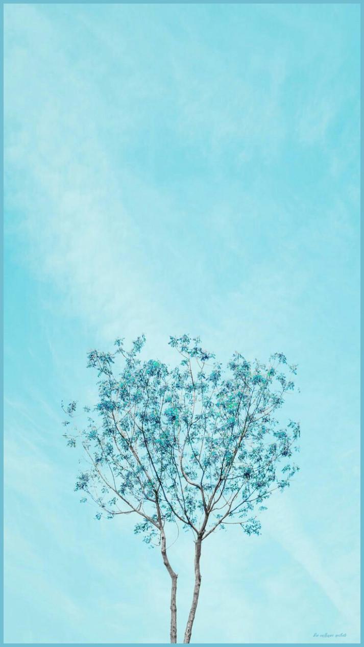 713x1268 Aesthetic Blue IPhone Wallpaper Free Aesthetic Blue IPhone Wallpaper Aesthetic