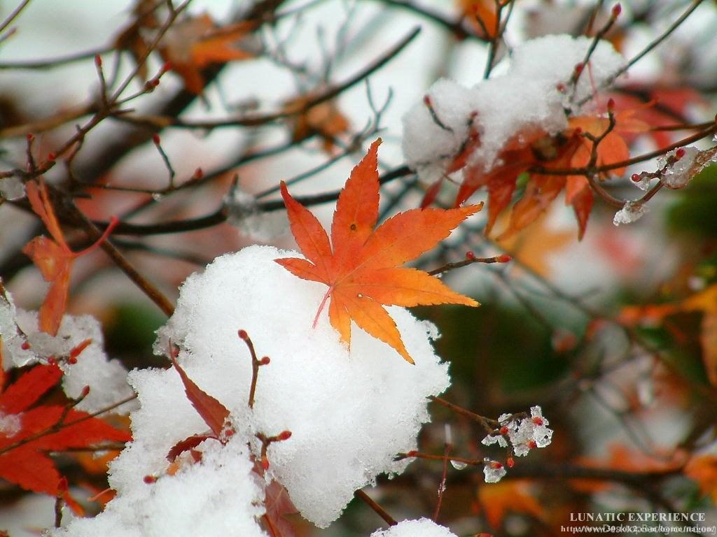 1024x768 Japan Wallpaper And Image: Winter Japan Scenery Wallpaper Desktop Background