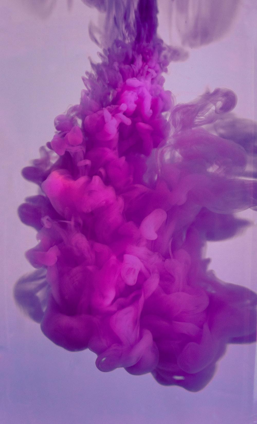 1000x1648 Purple Wallpaper: Free HD Download [HQ]