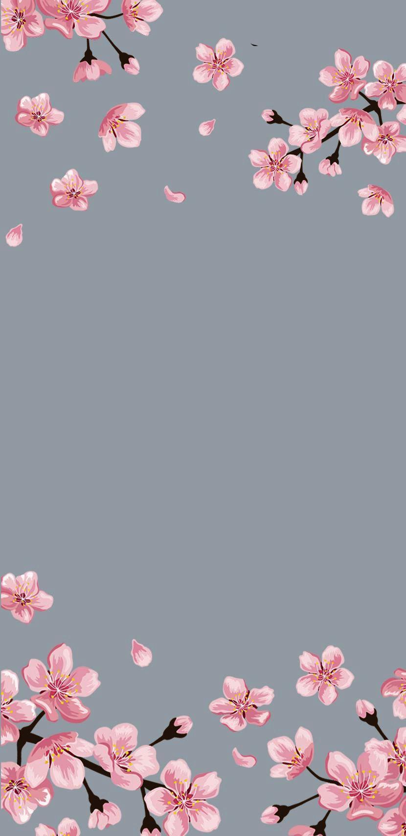 830x1706 Flower Lock Screen Wallpaper