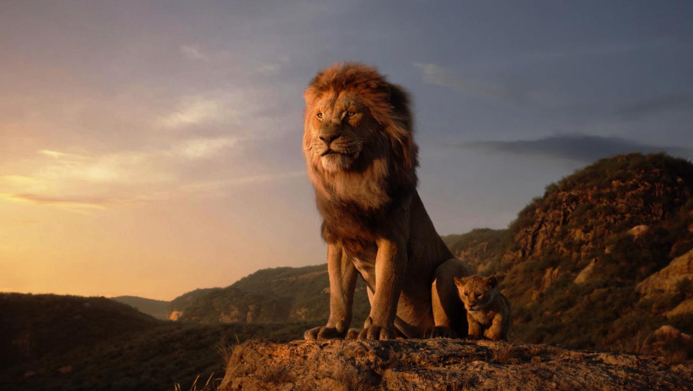 1360x768 The Lion King Desktop Laptop HD Wallpaper, HD Movies 4K Wallpaper, Image, Photo and Background
