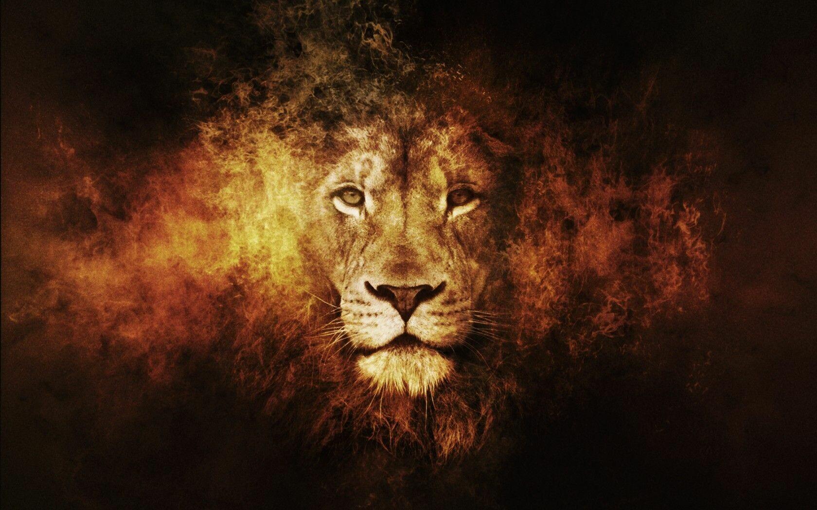 1680x1050 Cool Lion Wallpaper: HD, 4K, 5K for PC and Mobile. Download free image for iPhone, Android