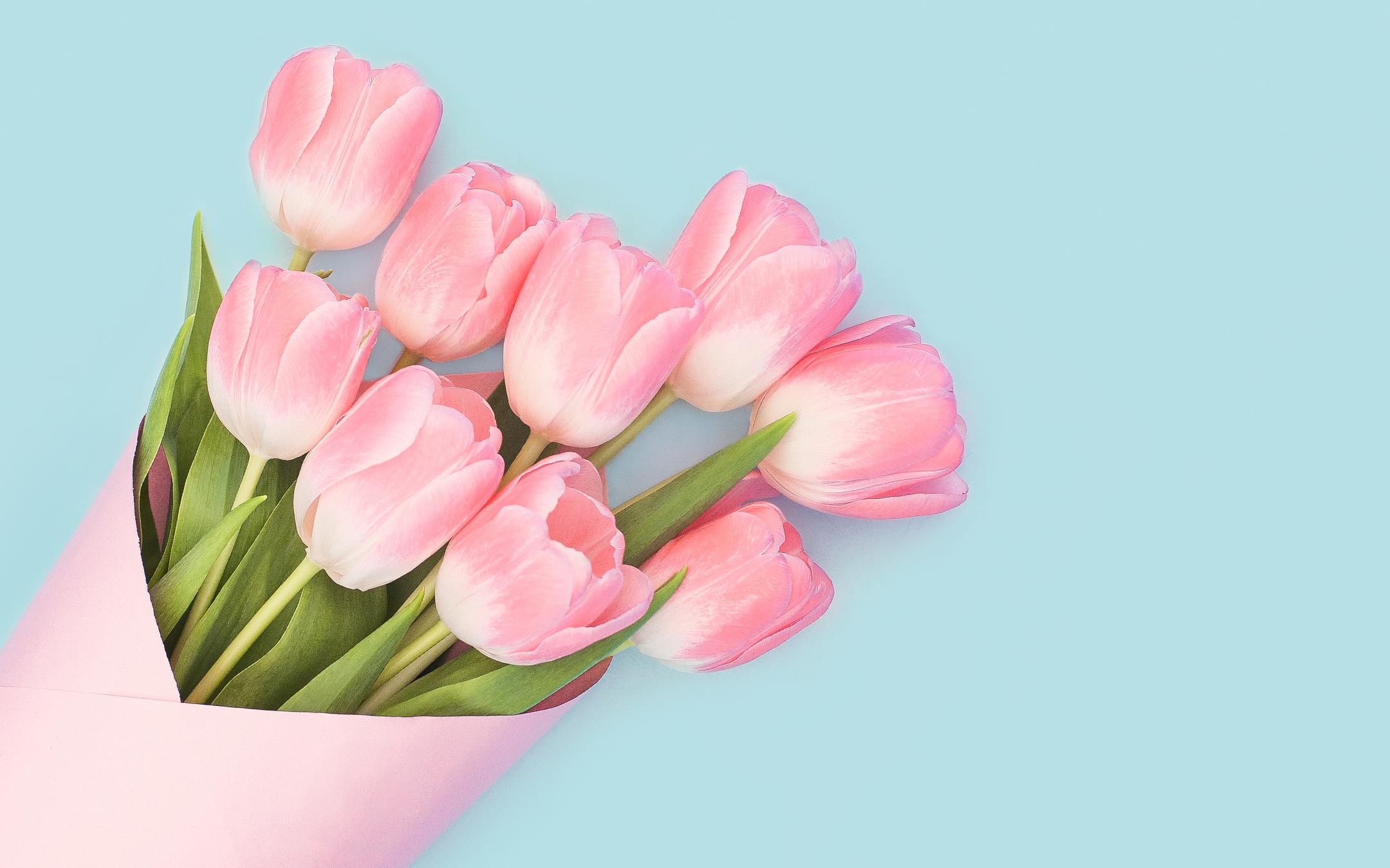 2160x1350 Wallpaper 4k Baby Pink Tulips Wallpaper