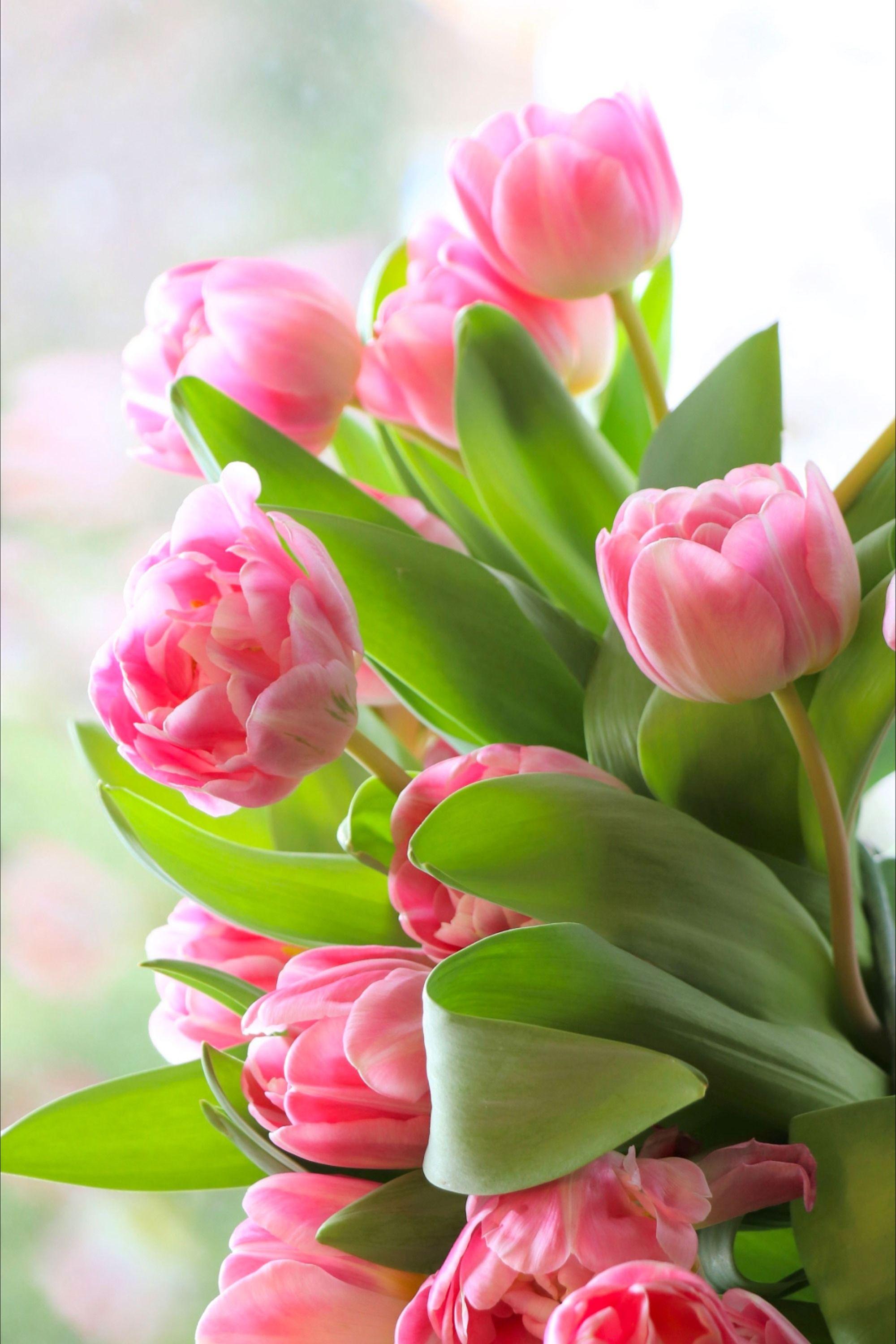 2000x3000 Image By: Olga1205. Flowers bouquet gift, Pretty flowers, Beautiful flowers
