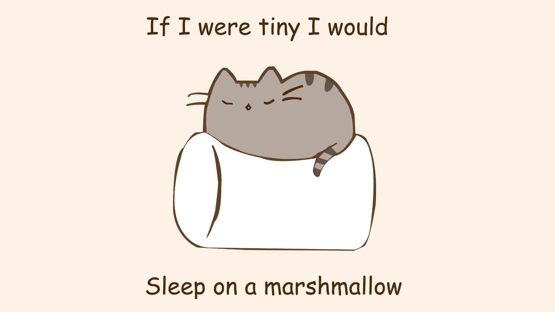1920x1080 Gray cat cartoon wallpaper, humor, marshmallows, quote, pusheen, artwork • Wallpaper For You HD Wallpaper For Desktop & Mobile