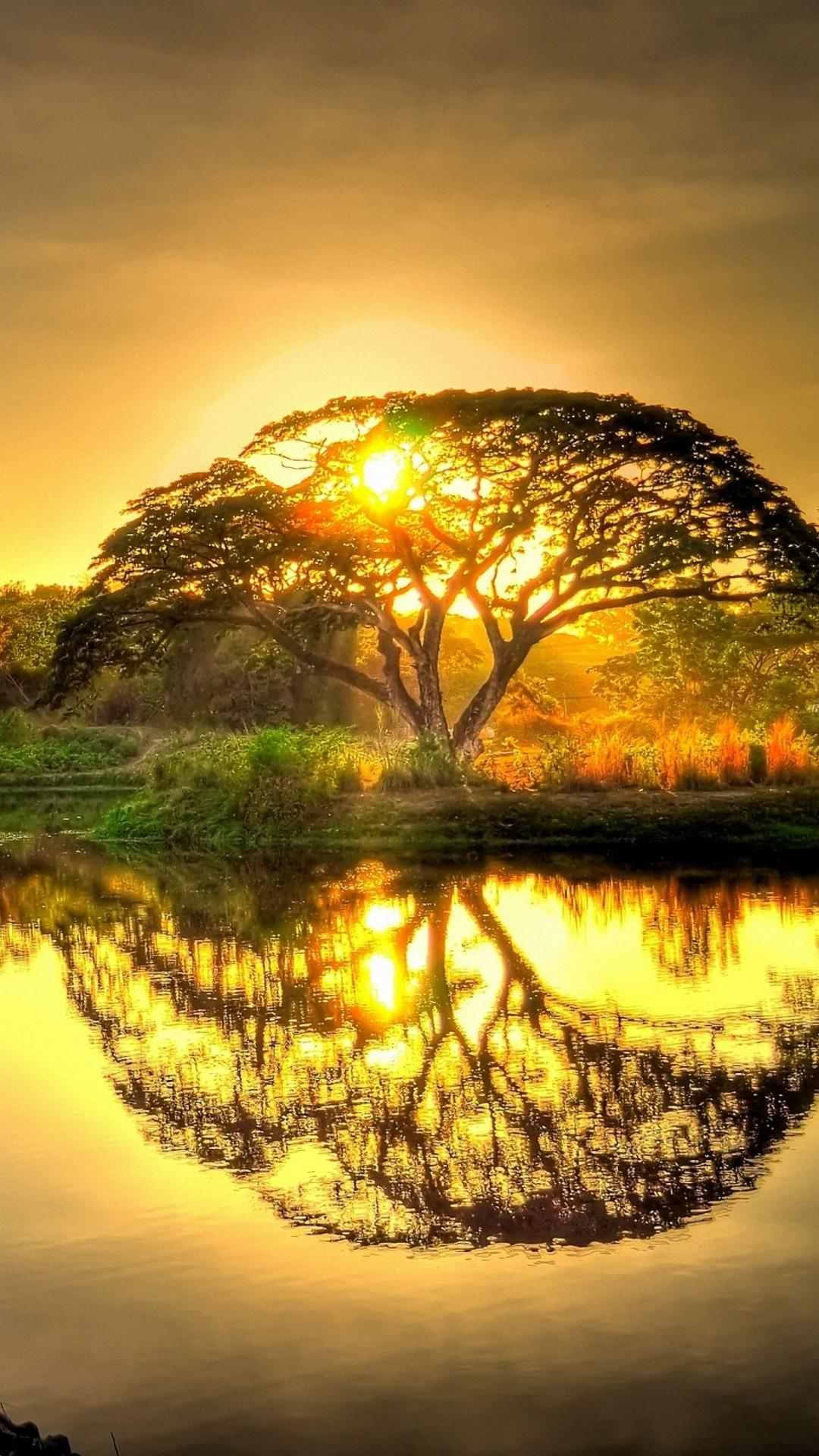 1080x1920 Nature Wallpaper Full HD iPhone 3D iPhone Wallpaper