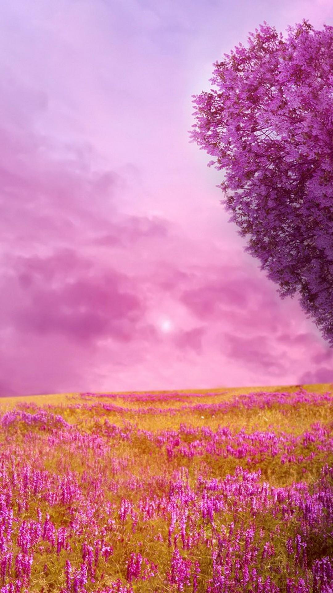 1080x1920 Spring Nature HD Wallpaper For Android With HD Resolution Nature Wallpaper HD HD Wallpaper