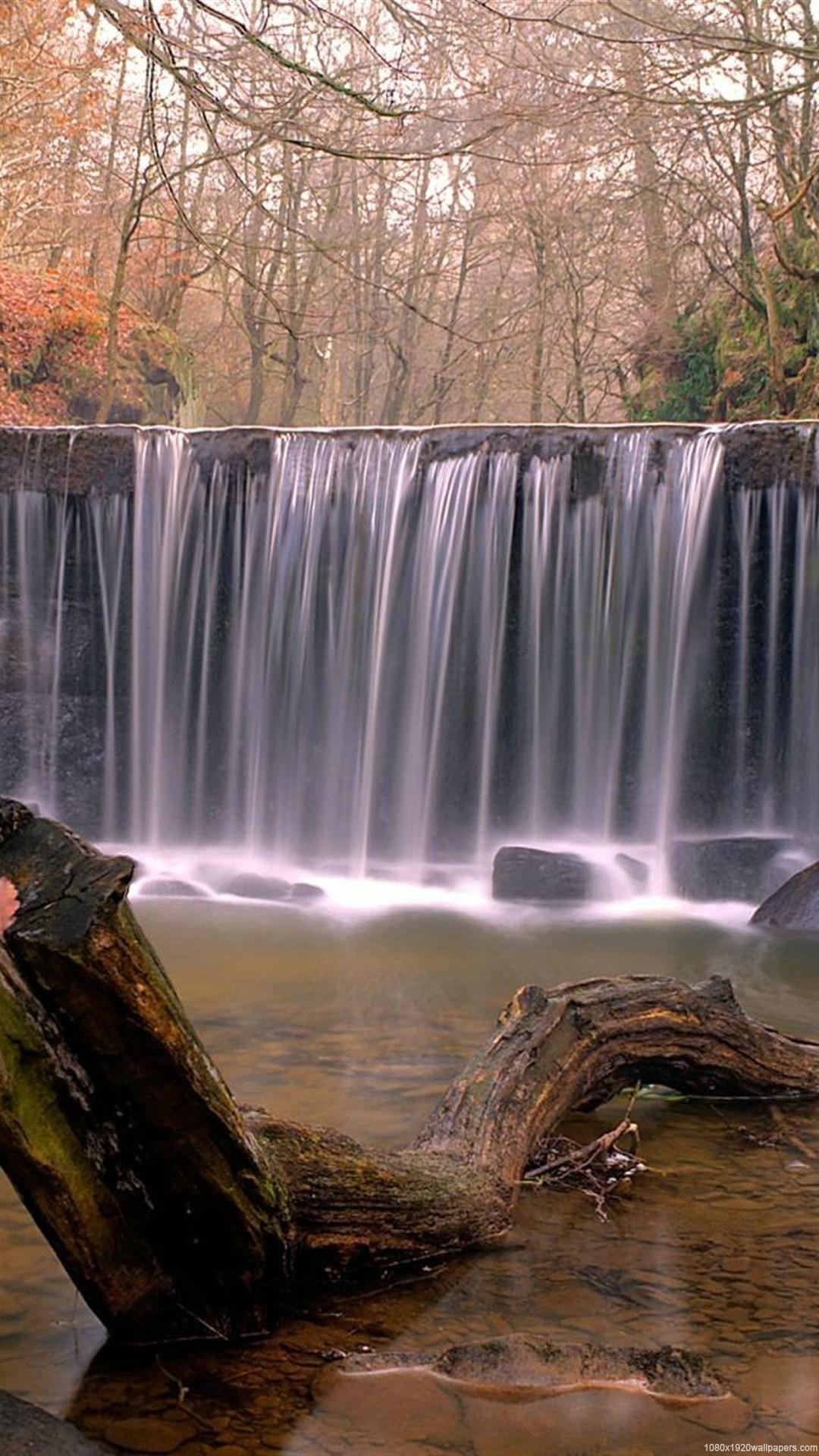 1080x1920 waterfall nature forest wallpaper HD nature wallpaper. Nature wallpaper, Forest wallpaper, Forest wallpaper hd