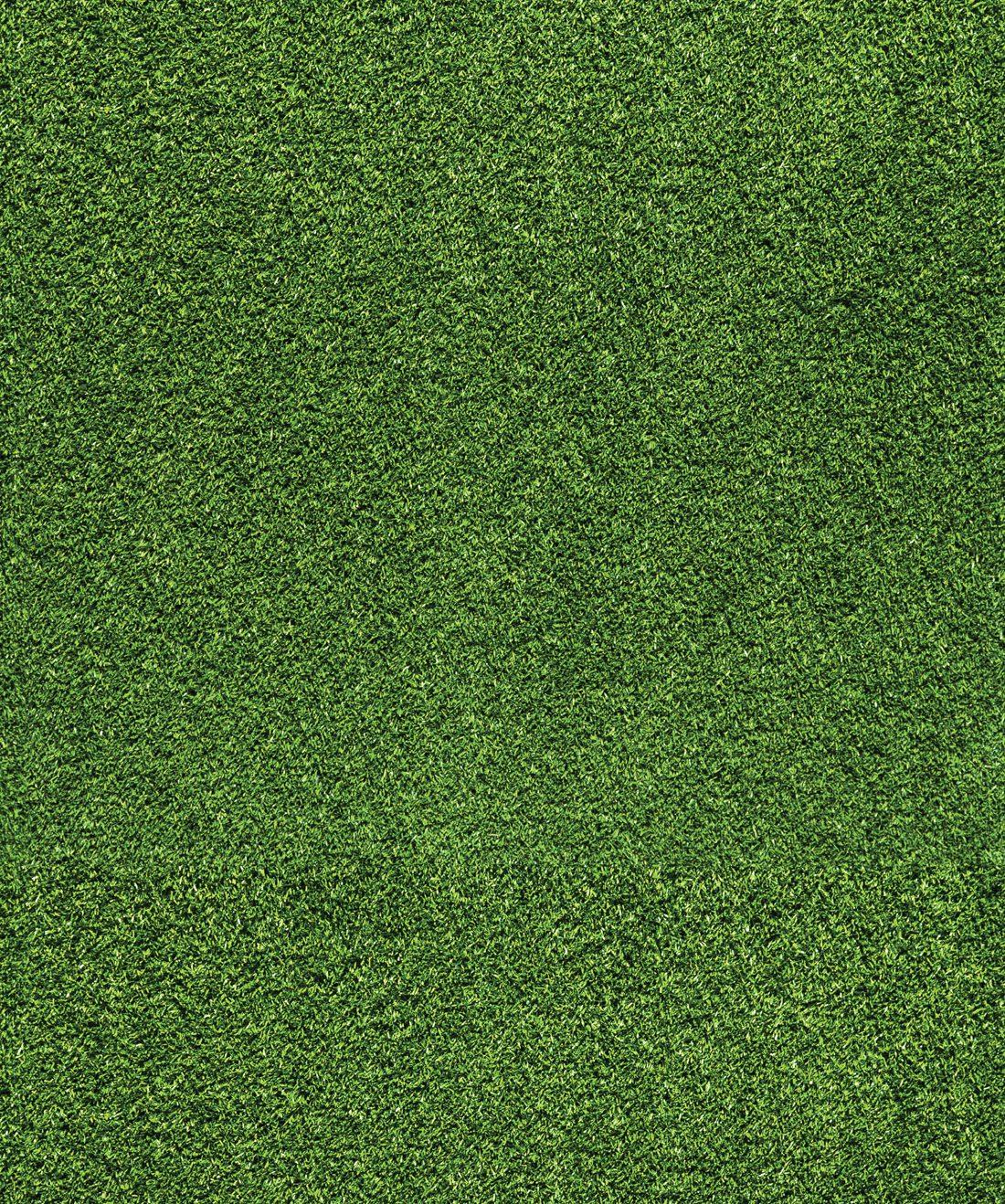 1100x1318 Artificial Turf Wallpaper • Fake Green Grass
